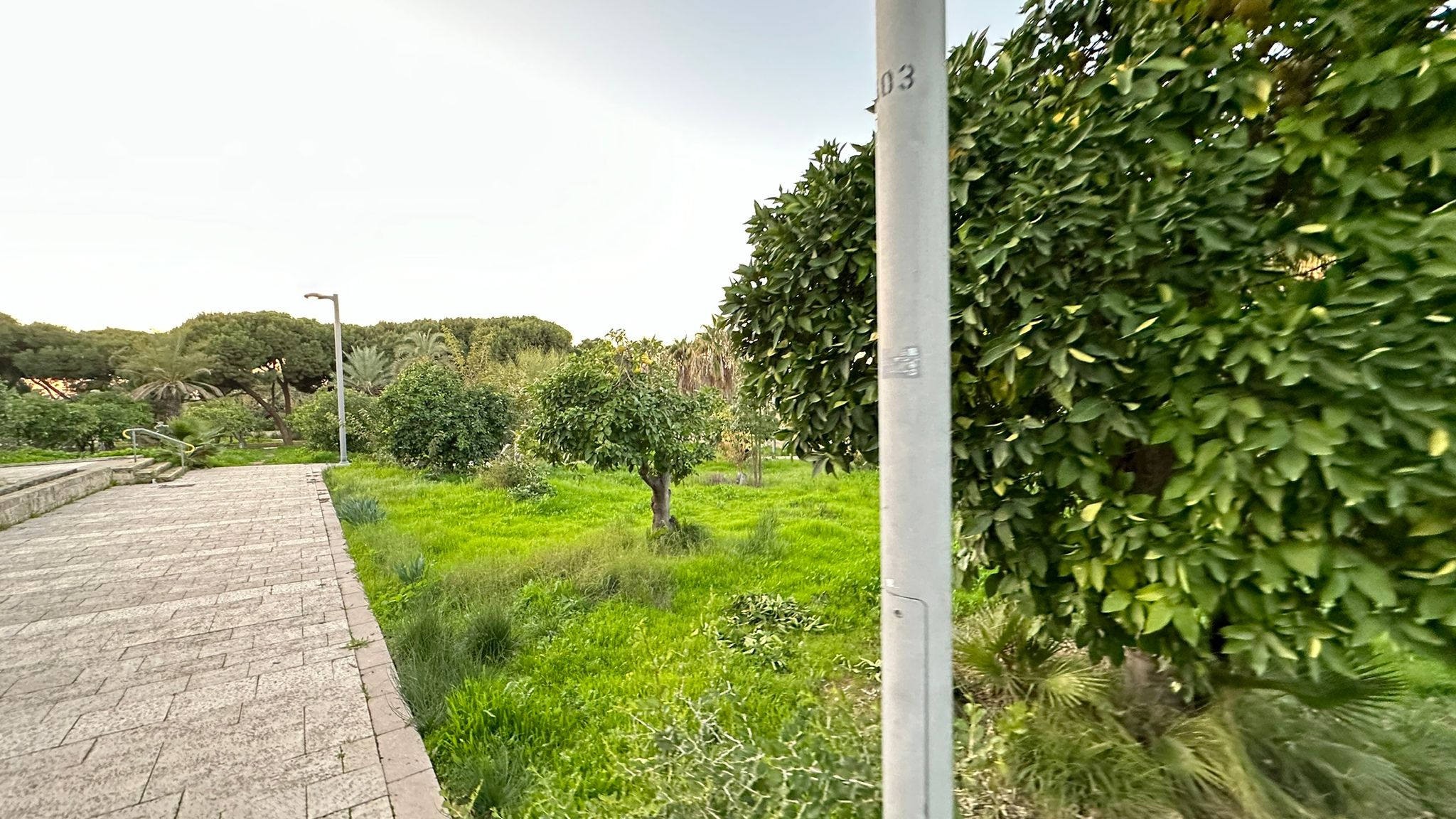 WhatsApp Image 2024-01-06 at 10.25.28 (2).jpg